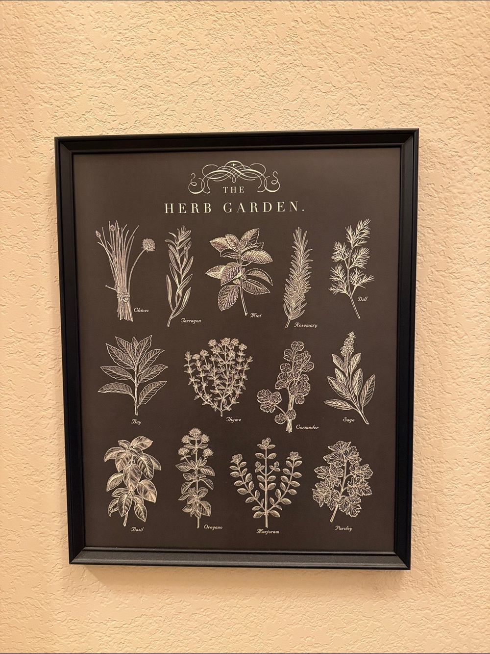 Herb and Vegetable Garden Wall Art Print - Black and White Framed Decor